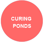 curing ponds
